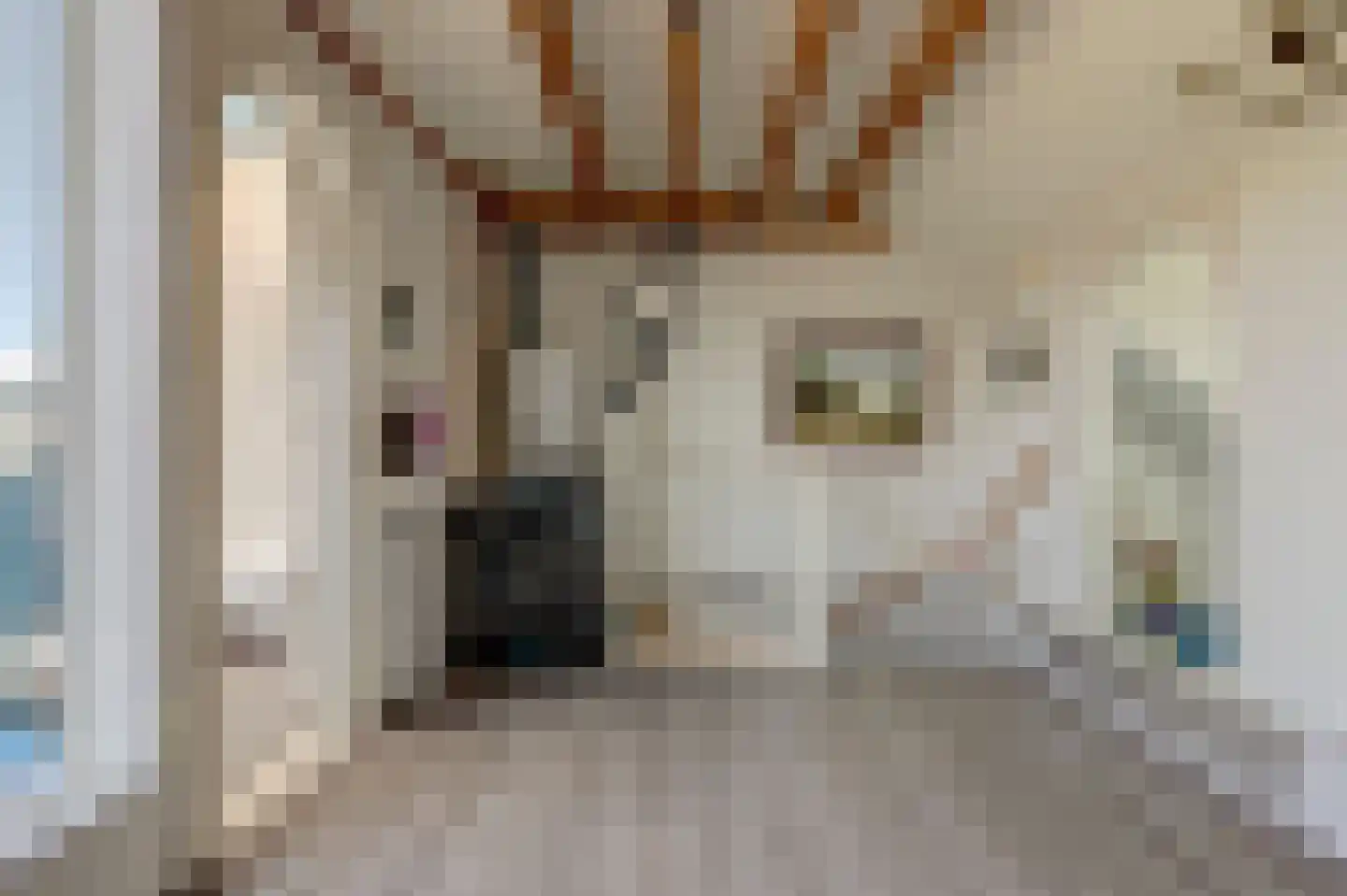 Erasmuslaan 14 Ridderkerk thumbnail 33