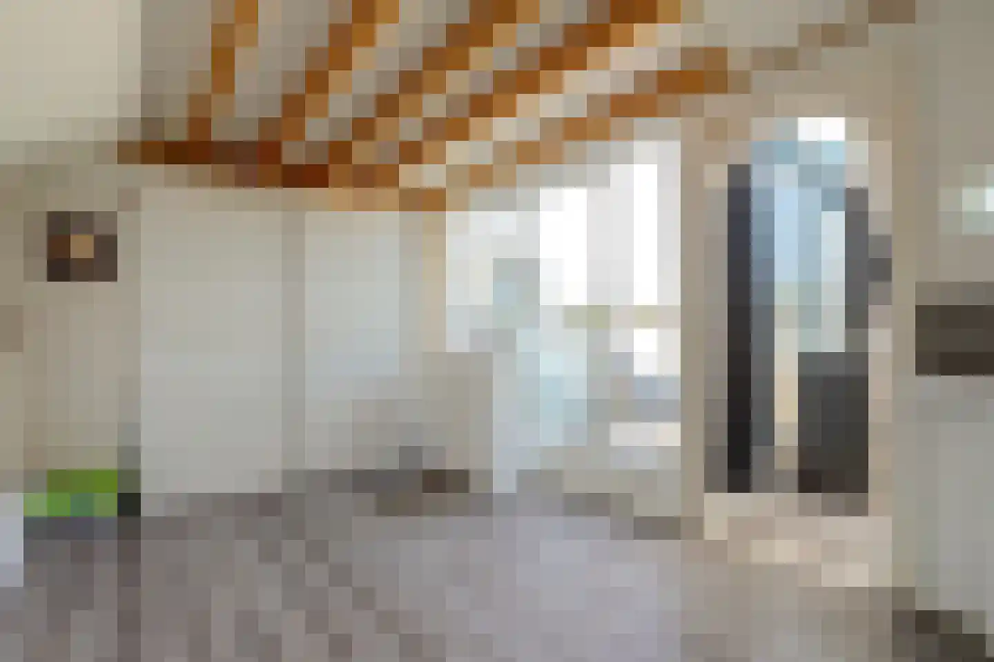 Erasmuslaan 14 Ridderkerk thumbnail 34