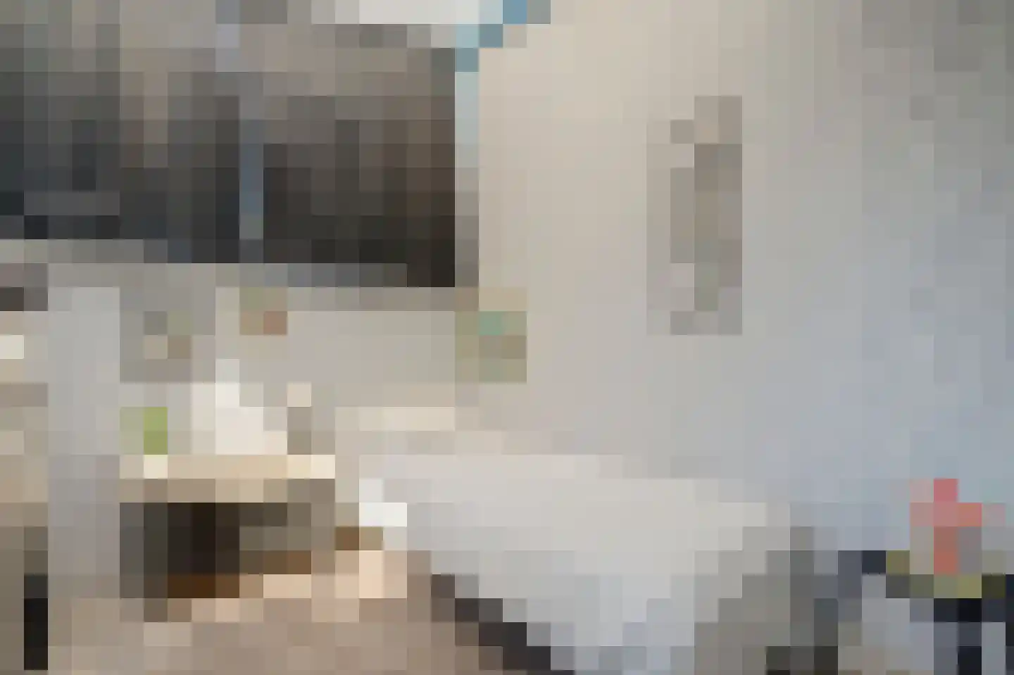 Erasmuslaan 14 Ridderkerk thumbnail 37