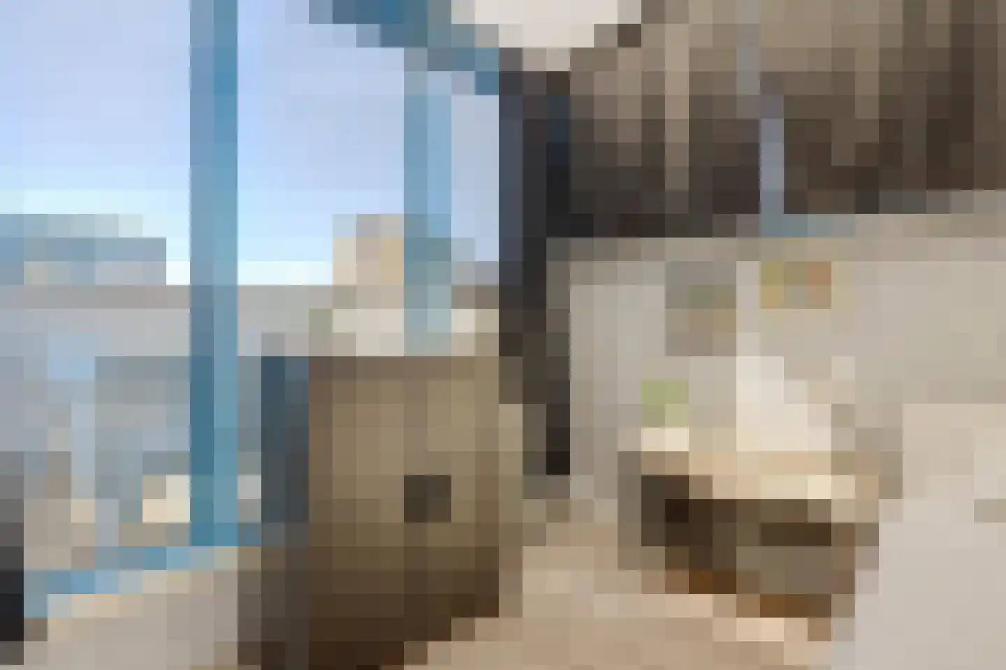 Erasmuslaan 14 Ridderkerk thumbnail 38