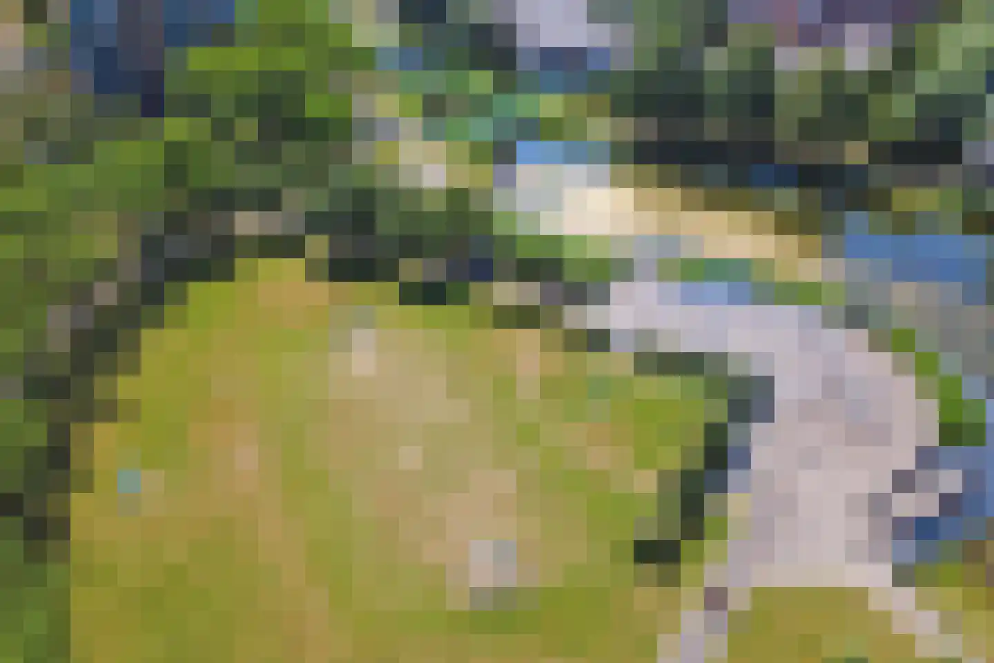 Erasmuslaan 14 Ridderkerk thumbnail 55