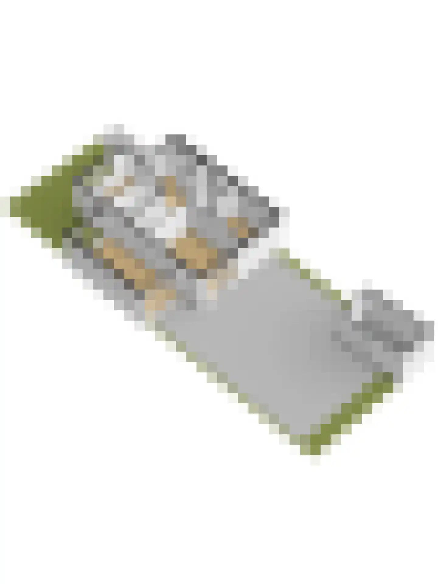 Erasmuslaan 14 Ridderkerk thumbnail 67