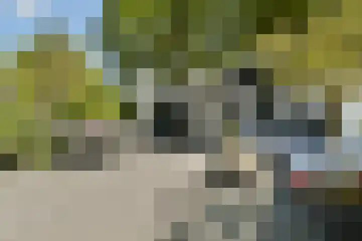 Erasmuslaan 15 Amstelveen thumbnail 14