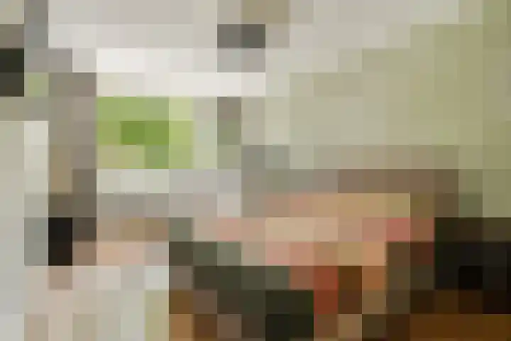 Erasmuslaan 15 Amstelveen thumbnail 15