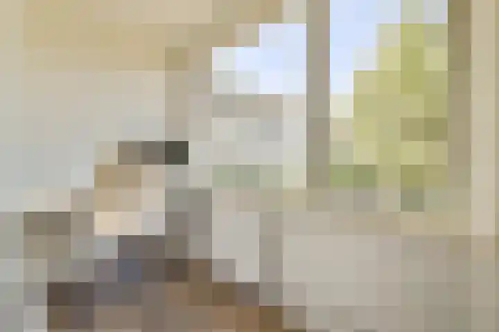 Erasmuslaan 15 Amstelveen thumbnail 23