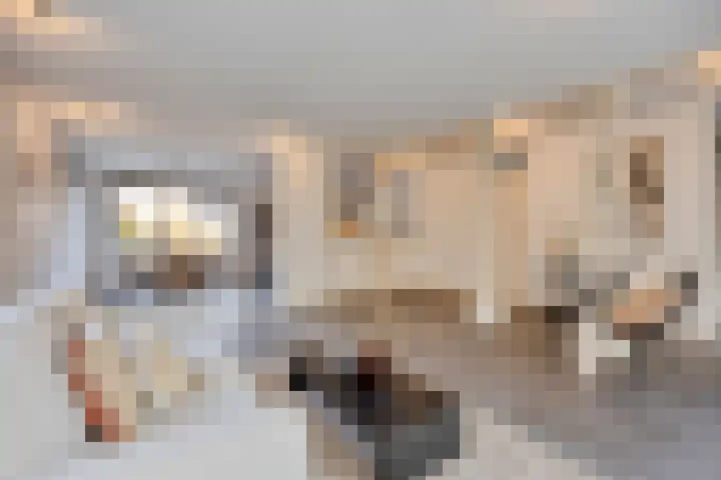 Erasmuslaan 19 Eindhoven thumbnail 10