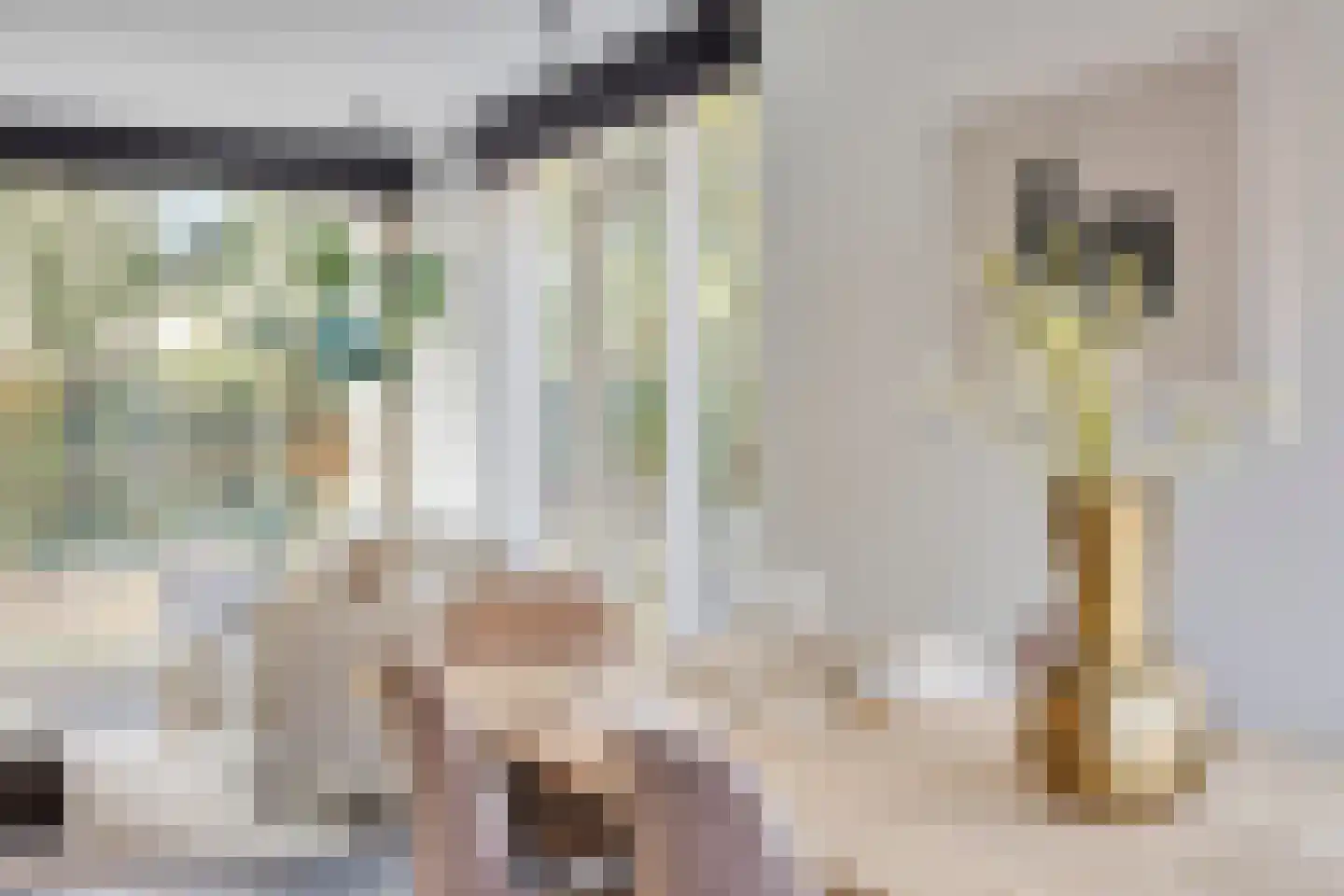 Erasmuslaan 19 Eindhoven thumbnail 11