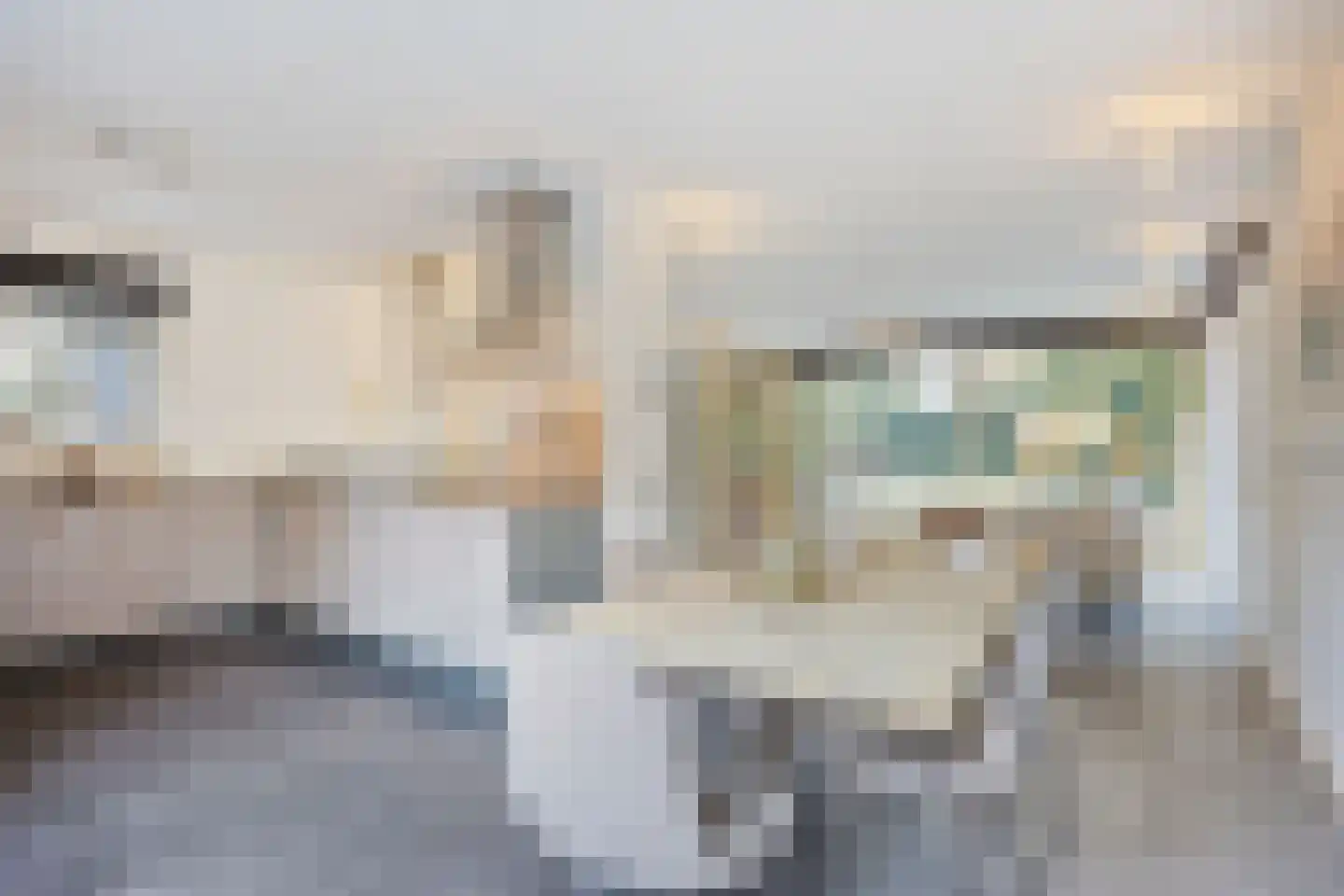 Erasmuslaan 19 Eindhoven thumbnail 20