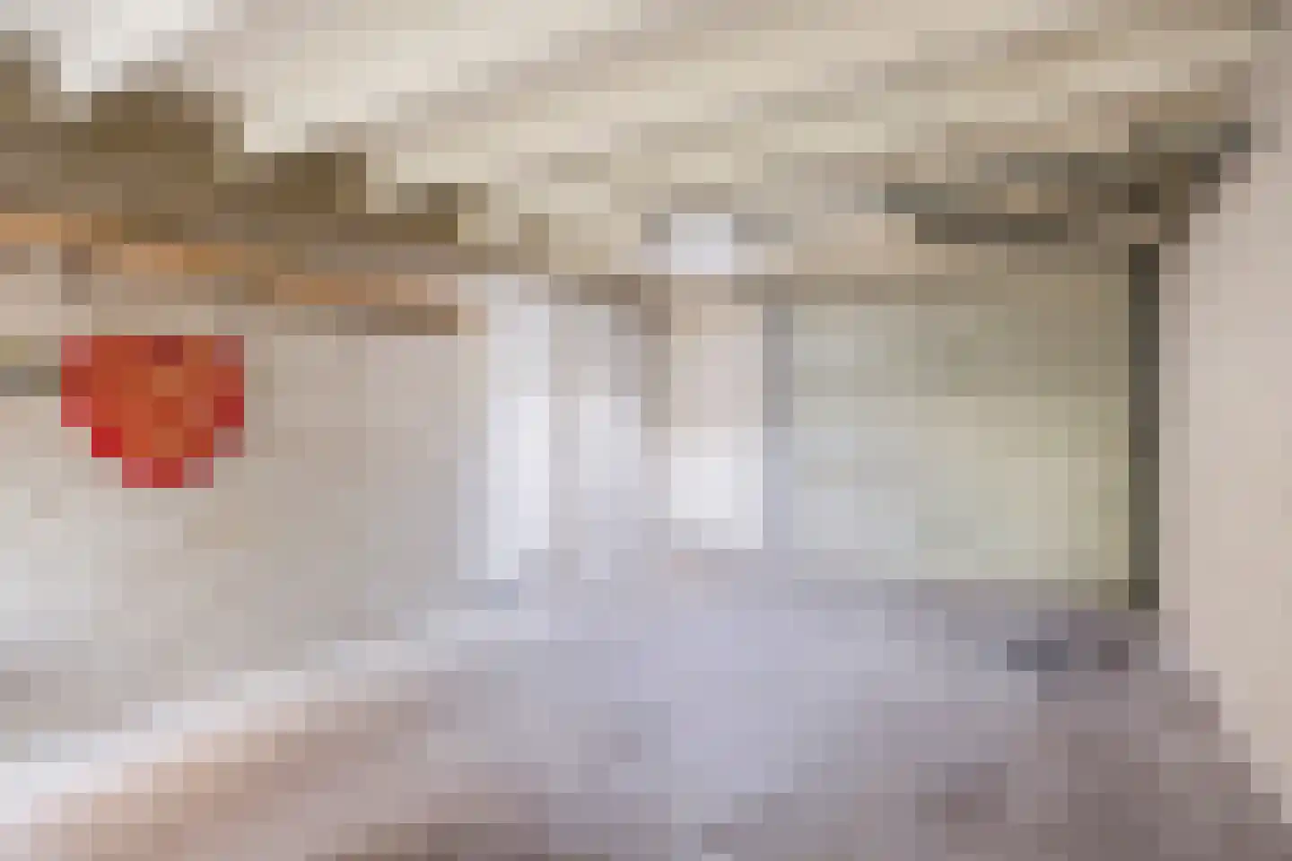 Erasmuslaan 19 Eindhoven thumbnail 21