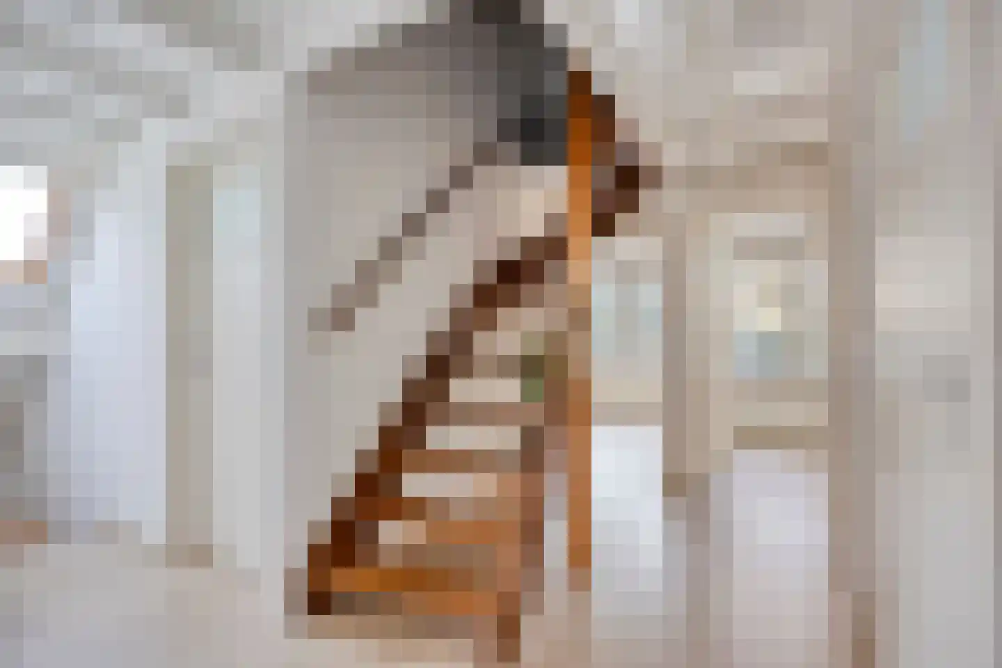 Erasmuslaan 19 Eindhoven thumbnail 22