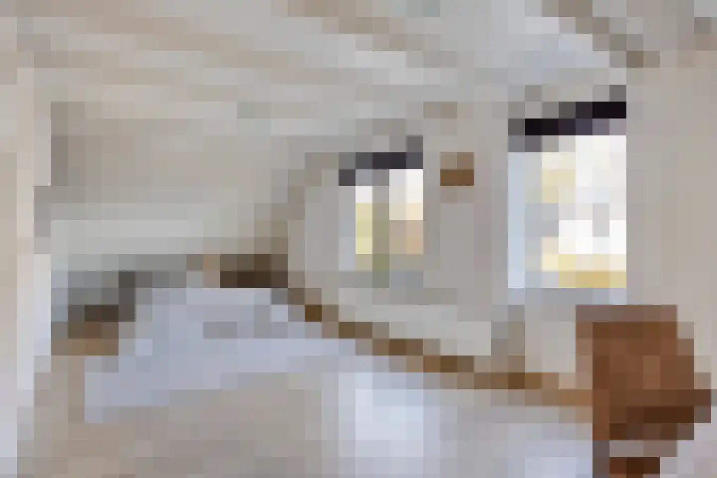 Erasmuslaan 19 Eindhoven thumbnail 24