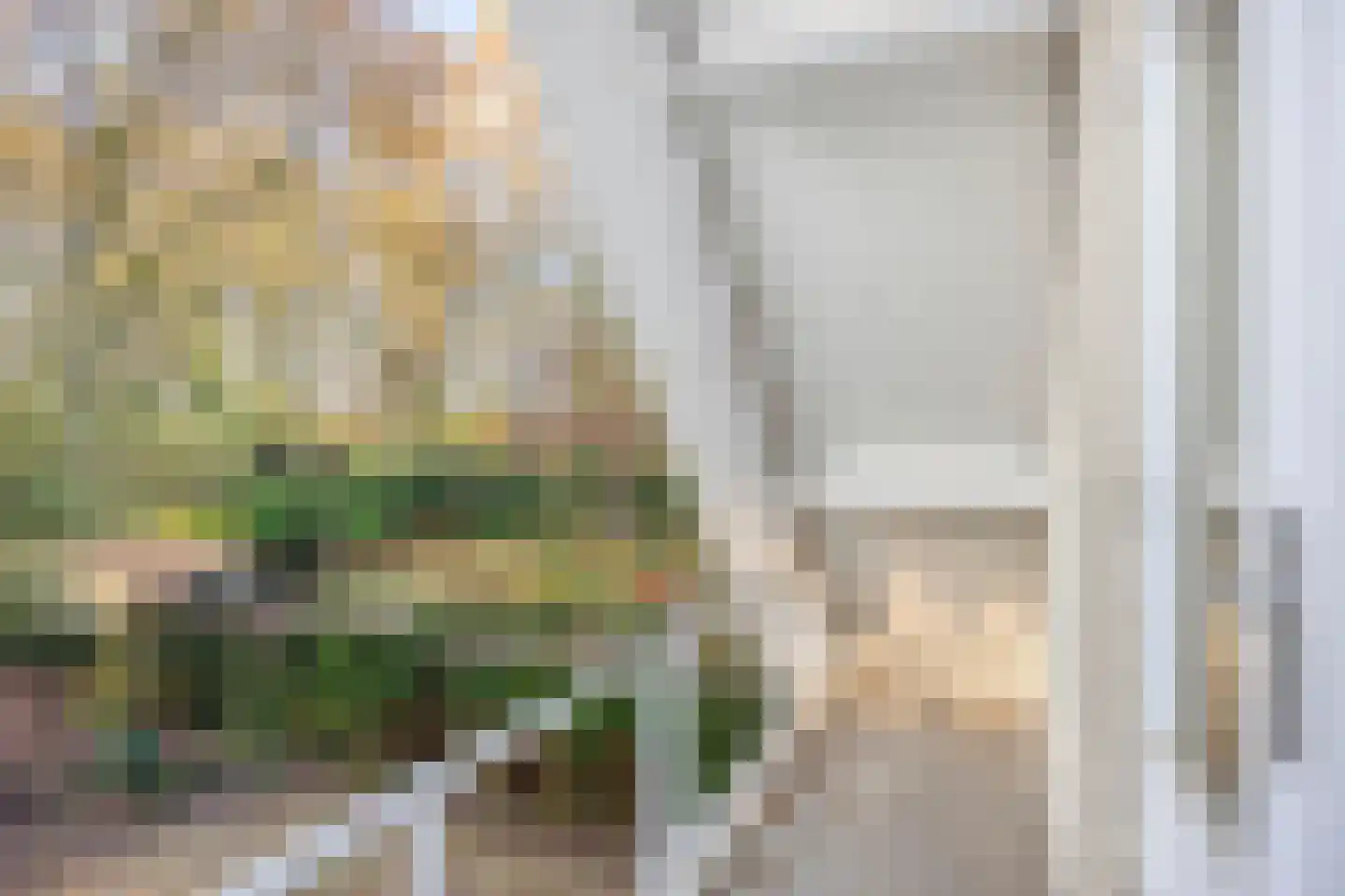 Erasmuslaan 19 Eindhoven thumbnail 30