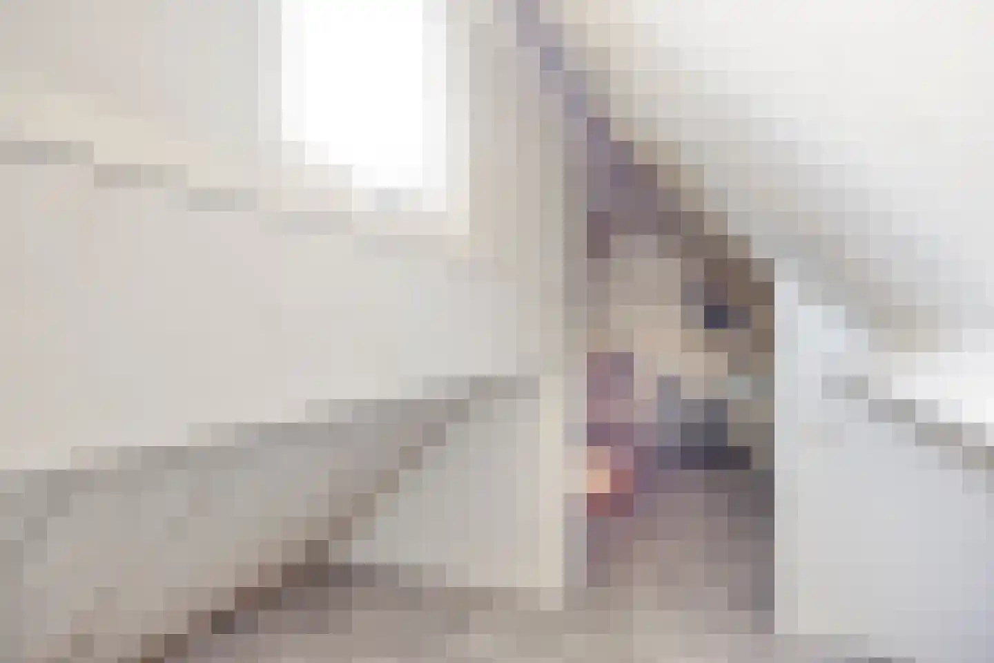 Erasmuslaan 19 Eindhoven thumbnail 38