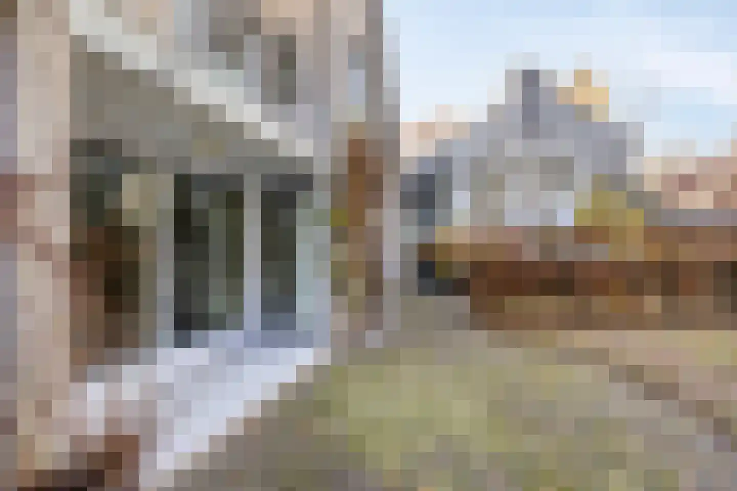 Erasmuslaan 19 Eindhoven thumbnail 41