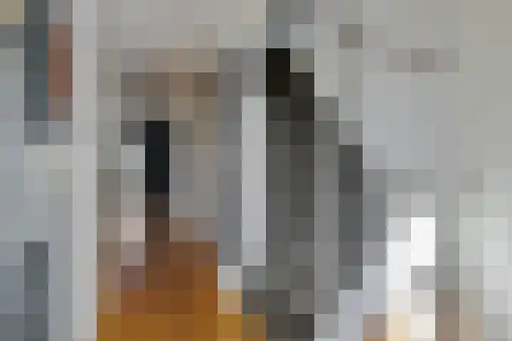 Erasmuslaan 19 Oegstgeest thumbnail 10