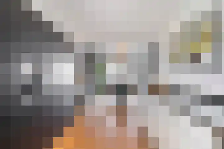 Erasmuslaan 19 Oegstgeest thumbnail 14
