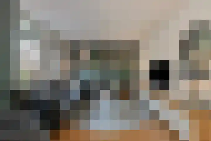 Erasmuslaan 19 Oegstgeest thumbnail 21