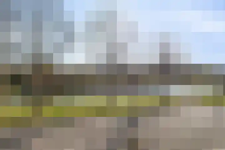 Erasmuslaan 19 Oegstgeest thumbnail 41