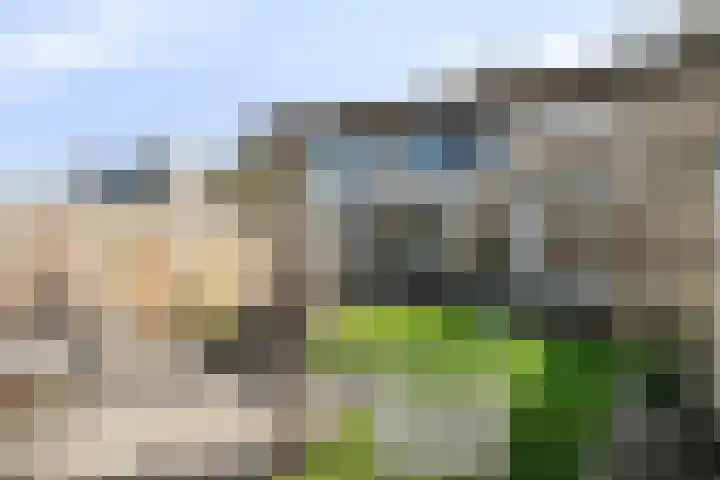 Erasmuslaan 19 Oegstgeest thumbnail 47