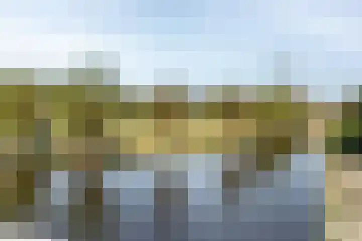 Erasmuslaan 19 Oegstgeest thumbnail 50