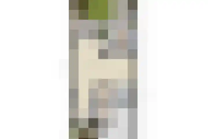 Erasmuslaan 19 Oegstgeest thumbnail 52