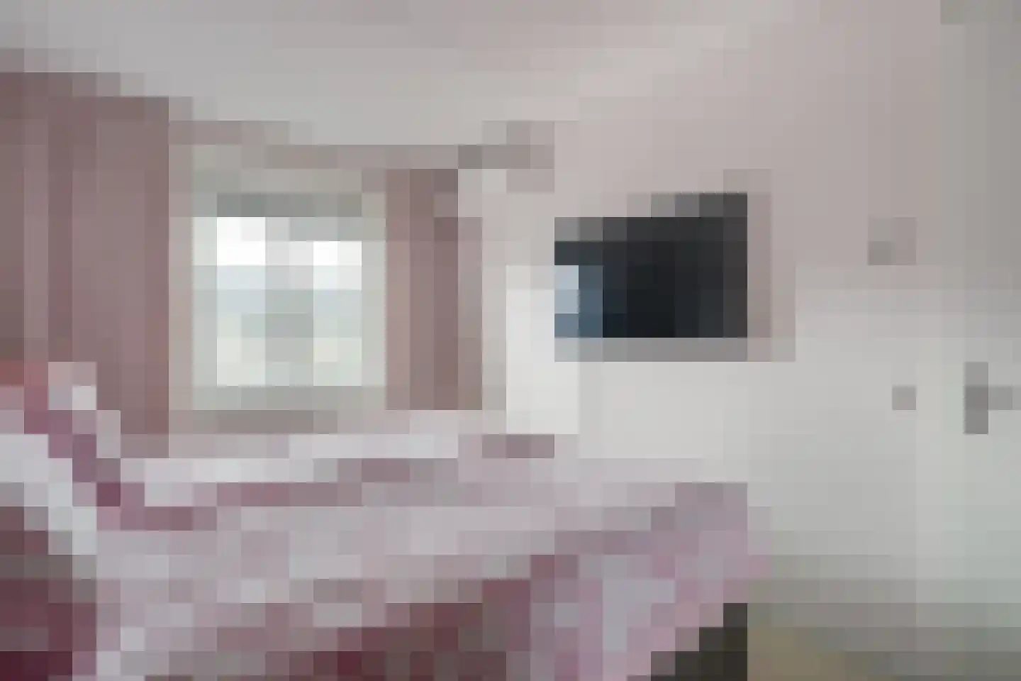 Erasmuslaan 2 F Heerhugowaard thumbnail 23