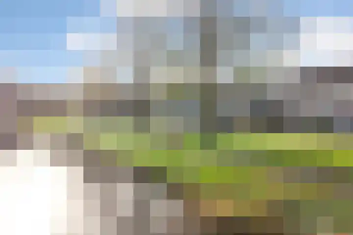 Erasmuslaan 23 Oegstgeest thumbnail 42