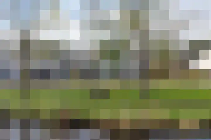 Erasmuslaan 23 Oegstgeest thumbnail 43