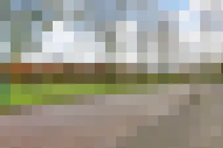 Erasmuslaan 23 Oegstgeest thumbnail 44