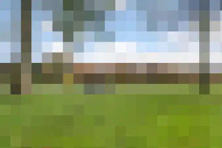 Erasmuslaan 23 Oegstgeest thumbnail 45
