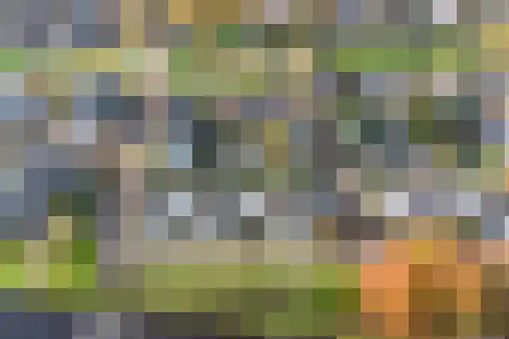 Erasmuslaan 23 Oegstgeest thumbnail 49