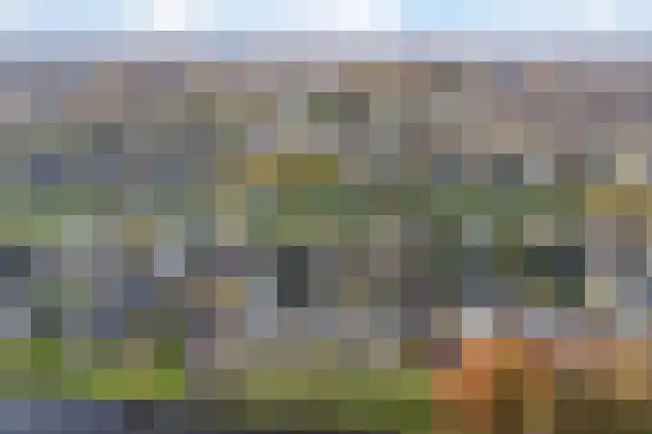 Erasmuslaan 23 Oegstgeest thumbnail 50