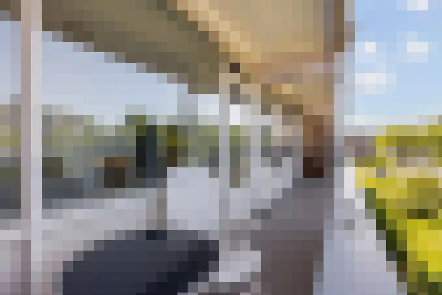 Erasmuslaan 25 Hilversum thumbnail 9
