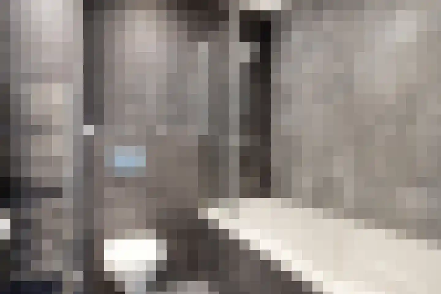 Erasmuslaan 3 F Haarlem thumbnail 23