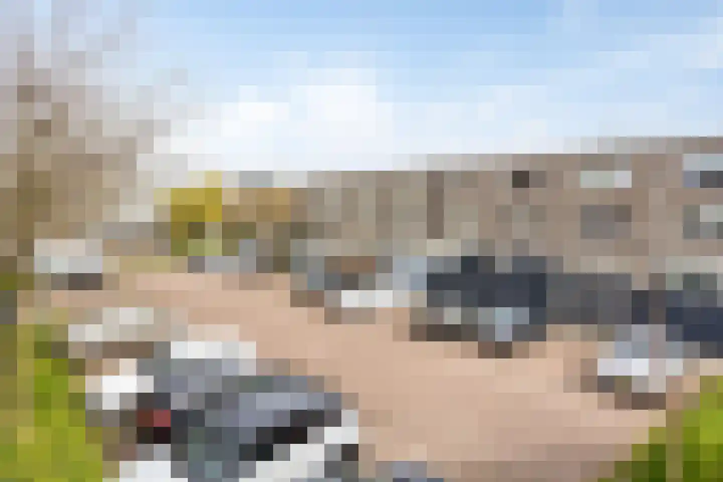 Erasmuslaan 3 F Haarlem thumbnail 31