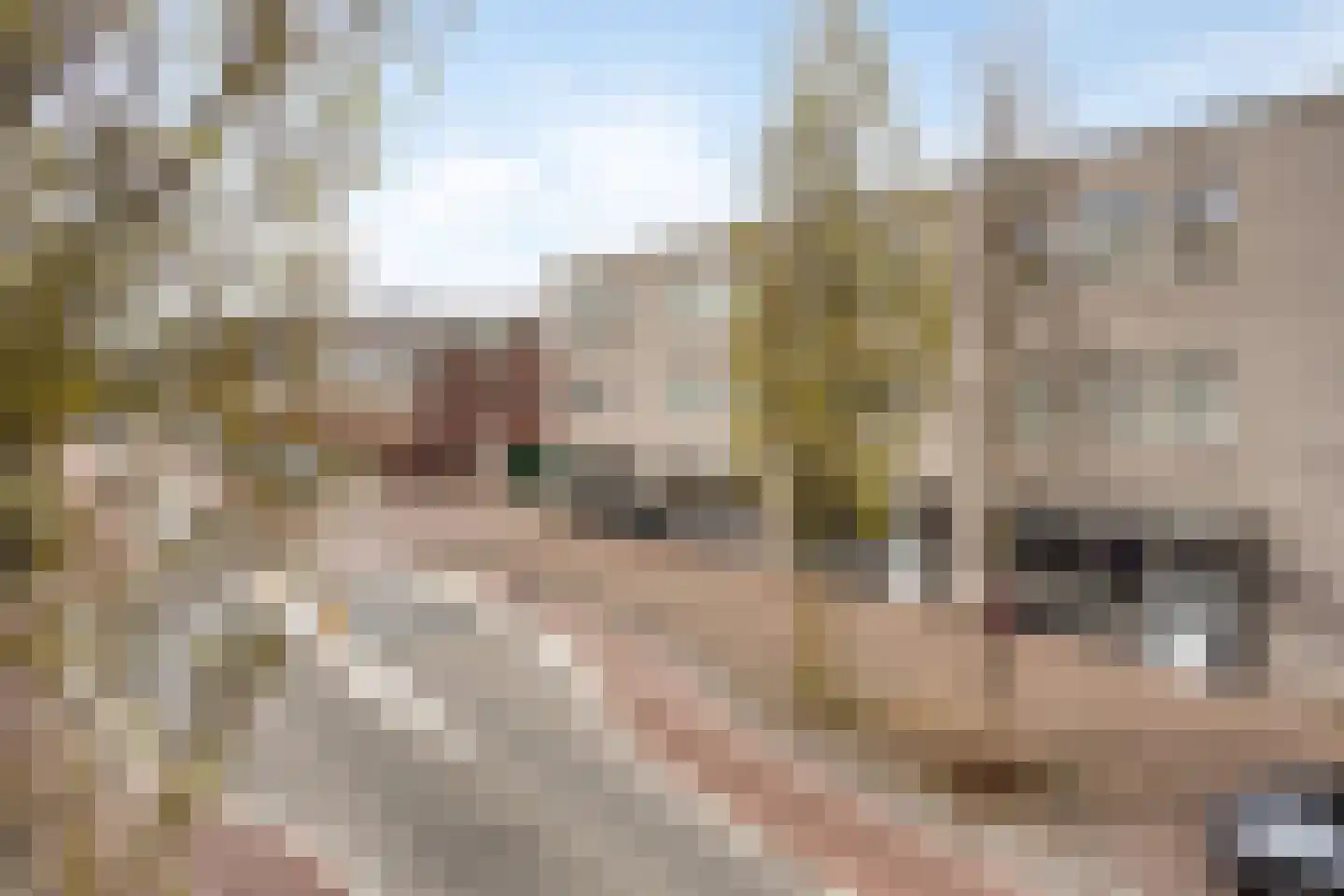 Erasmuslaan 3 F Haarlem thumbnail 32