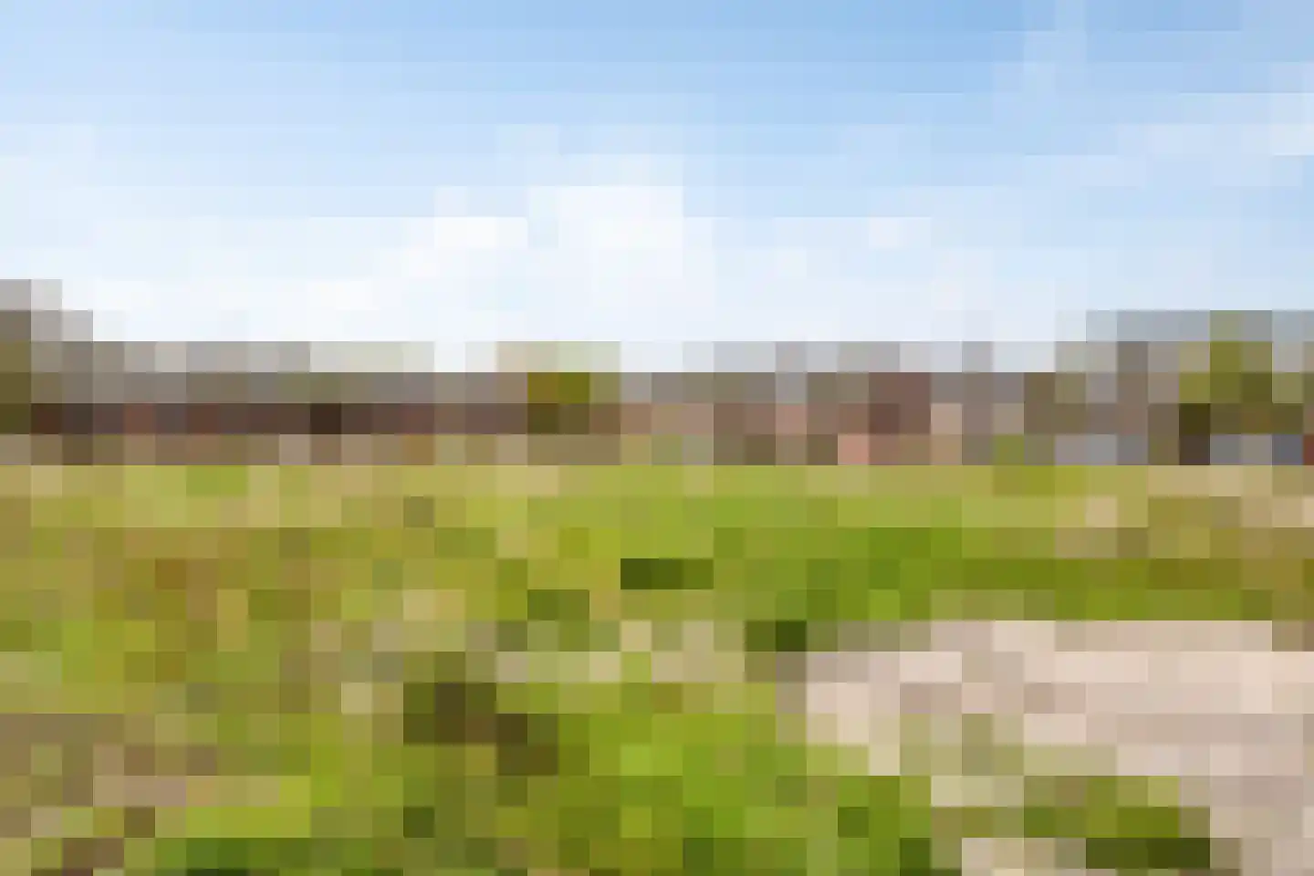Erasmuslaan 3 F Haarlem thumbnail 39