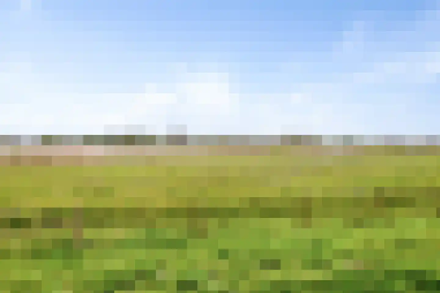 Erasmuslaan 3 F Haarlem thumbnail 39