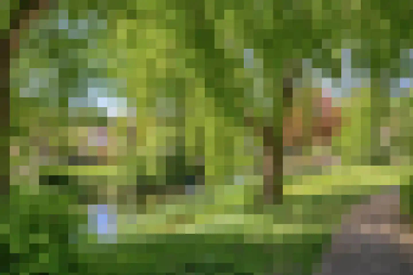 Erasmuslaan 32 Amstelveen thumbnail 20