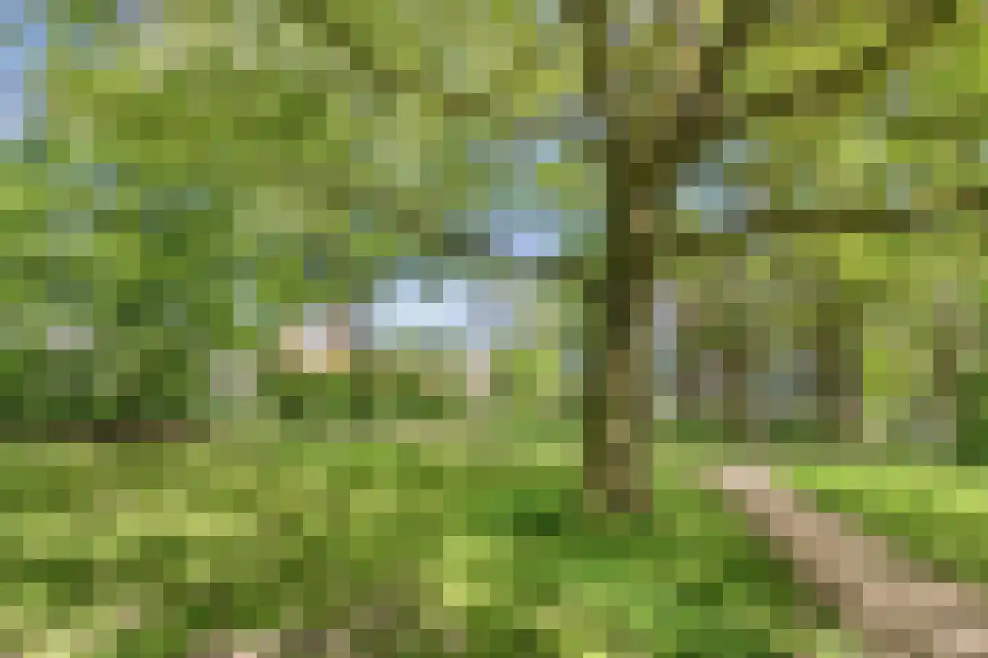 Erasmuslaan 32 Amstelveen thumbnail 21