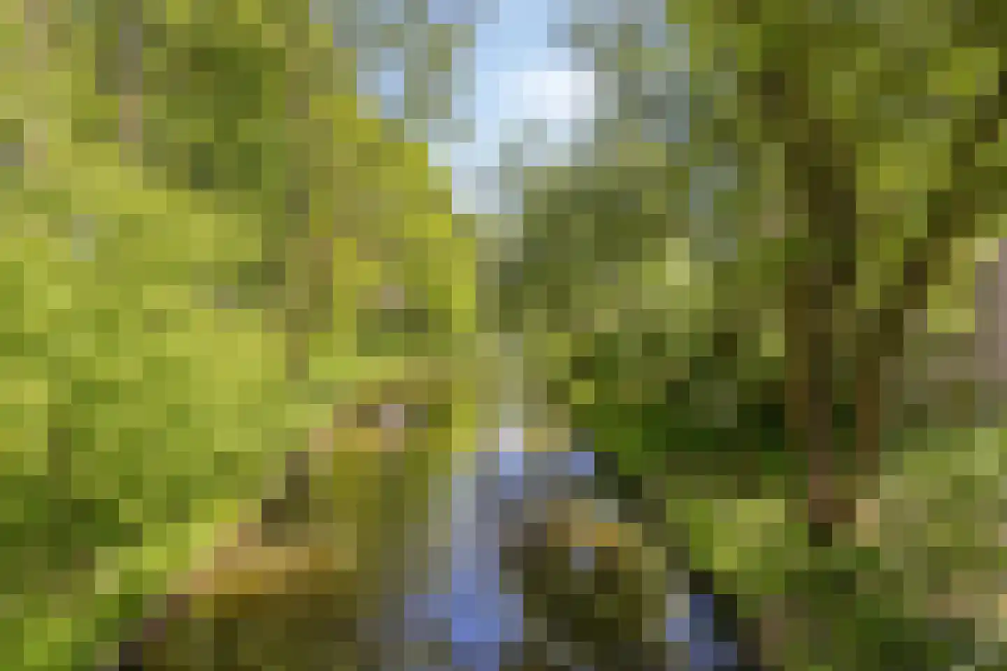 Erasmuslaan 32 Amstelveen thumbnail 22