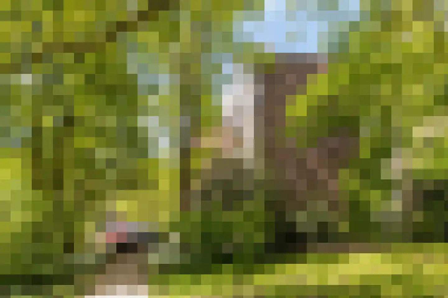 Erasmuslaan 32 Amstelveen thumbnail 24