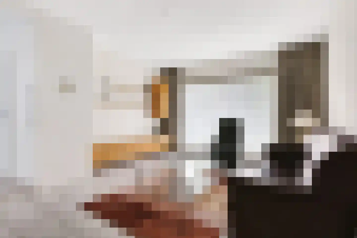 Erasmuslaan 33 Berkel-Enschot thumbnail 8