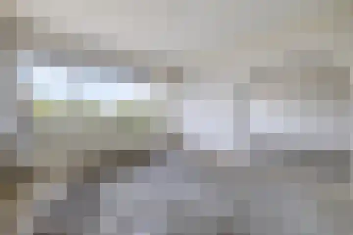 Erasmuslaan 37 Hilversum thumbnail 10