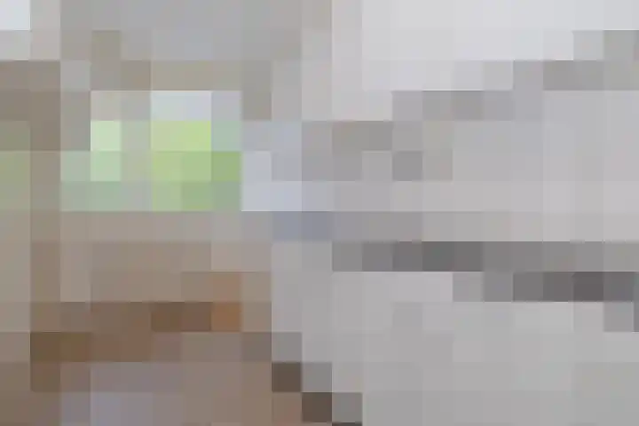 Erasmuslaan 37 Hilversum thumbnail 13