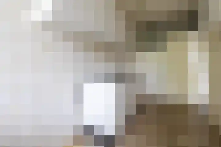 Erasmuslaan 37 Hilversum thumbnail 14