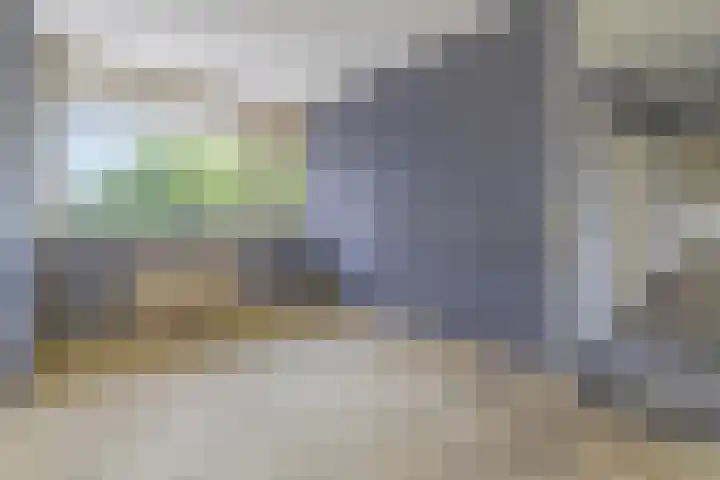 Erasmuslaan 37 Hilversum thumbnail 17