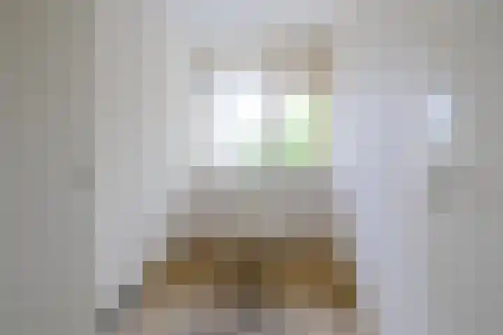 Erasmuslaan 37 Hilversum thumbnail 19