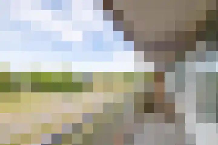 Erasmuslaan 37 Hilversum thumbnail 23