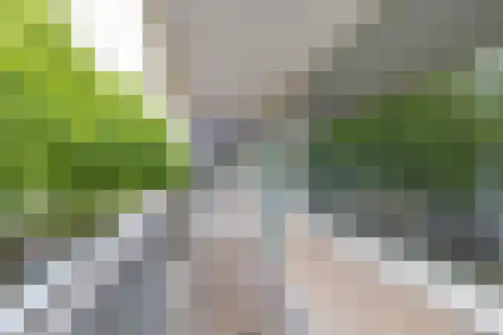 Erasmuslaan 37 Hilversum thumbnail 5